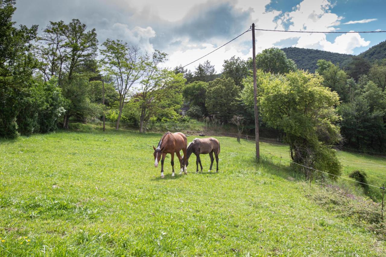 L'Ado Villa Ripoll Buitenkant foto